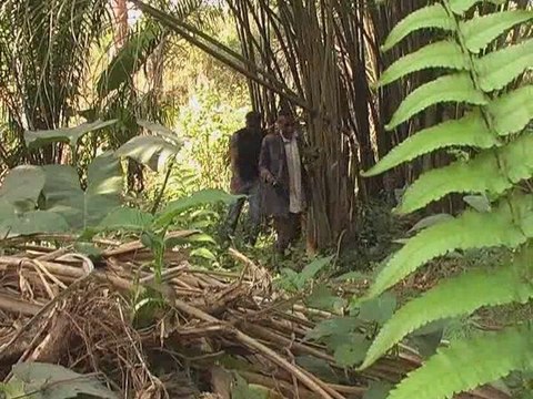 Médecines traditionnelles - cameroun 2007 - chantier prod