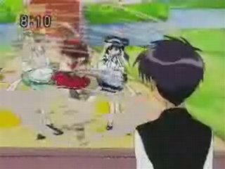 Anime mix mew mew and fruits basket