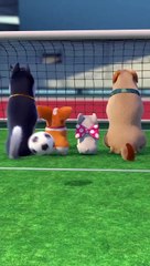 The animals playing football | cartoon video| mysterious world|