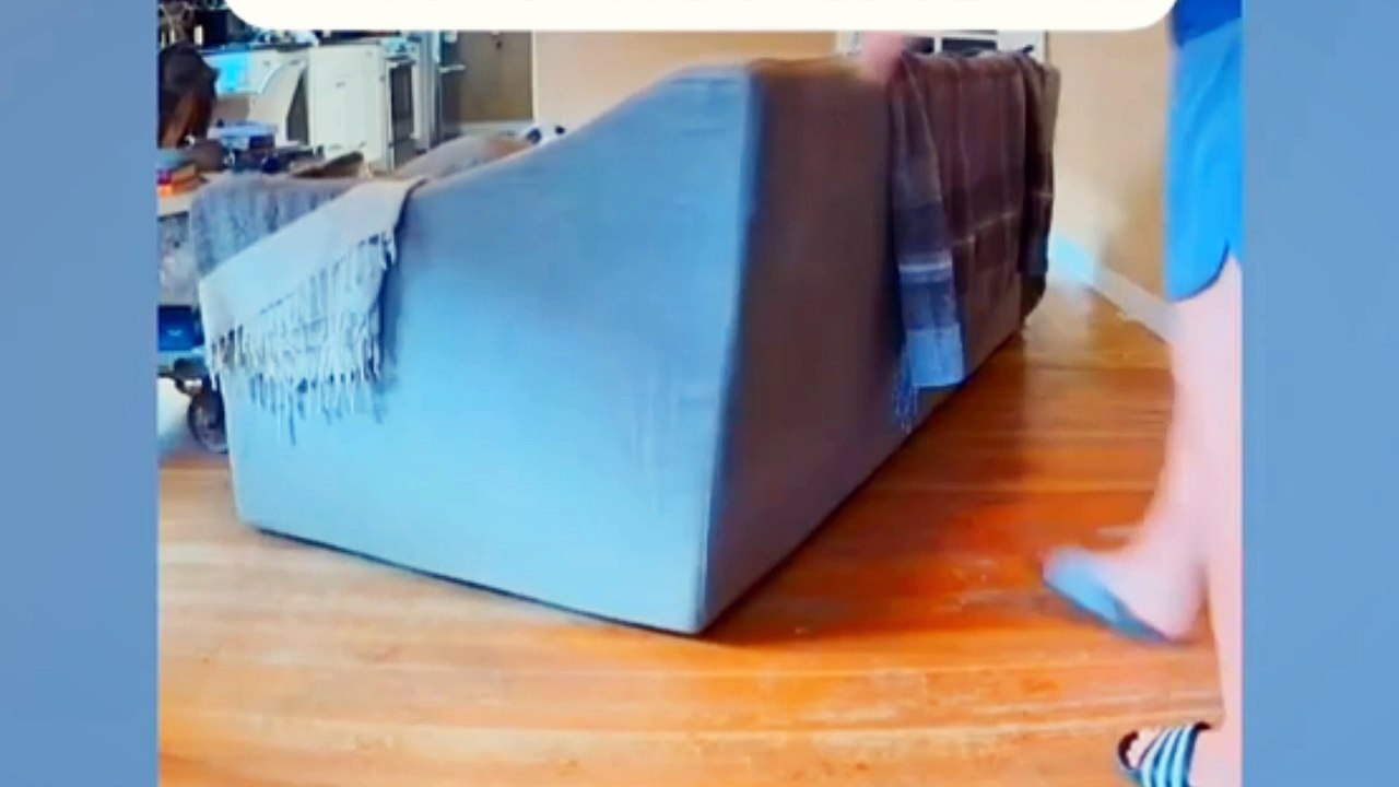 Try not to laugh funny cats and dogs video
