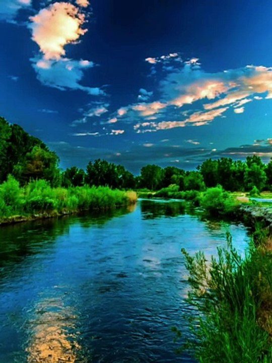 Discovering Nature
