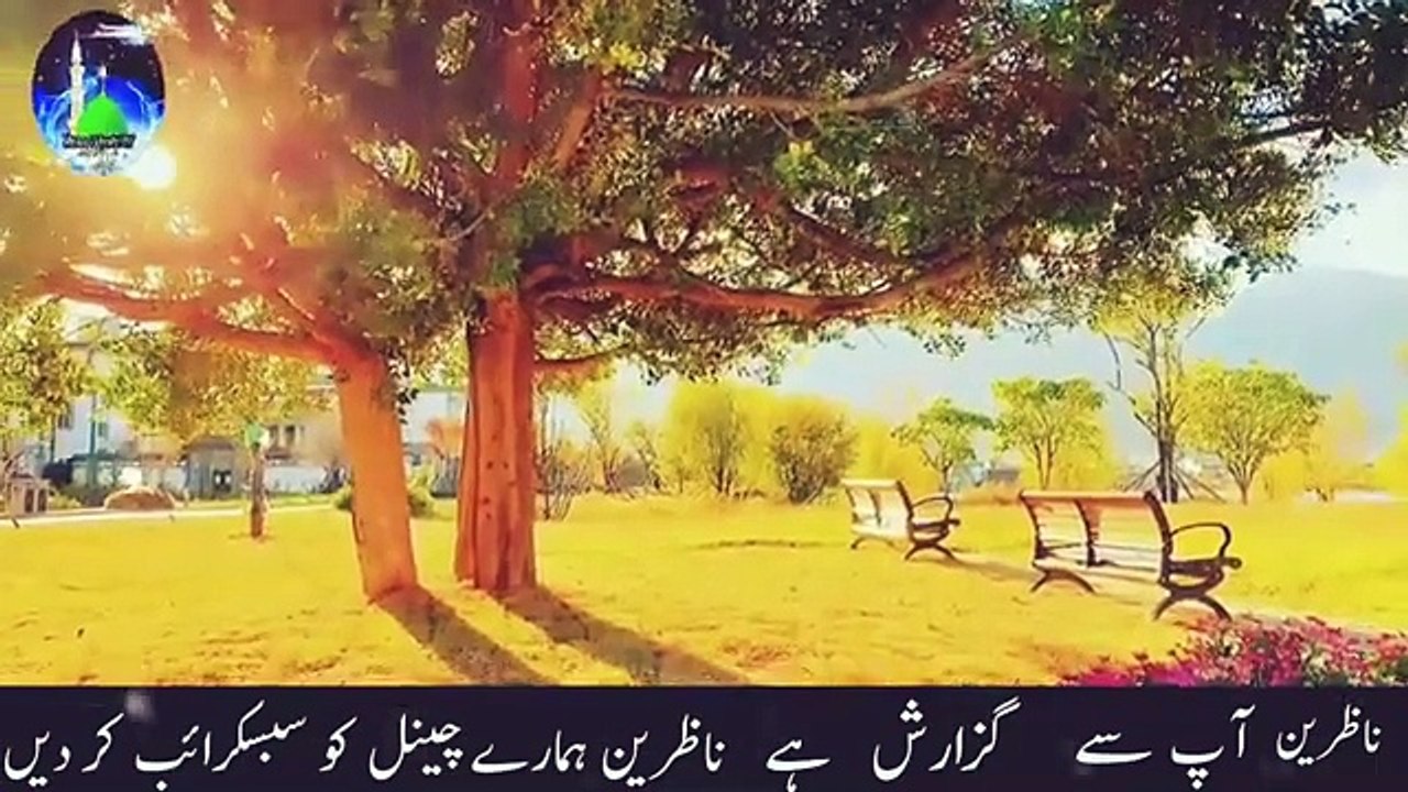 Nabi_pak_sws_Kay_aik_qadam_mobarak_k_badlay_aik_hazar_jhbumi_azad__islamic_vlogs__vlogs_by_daily(360p)