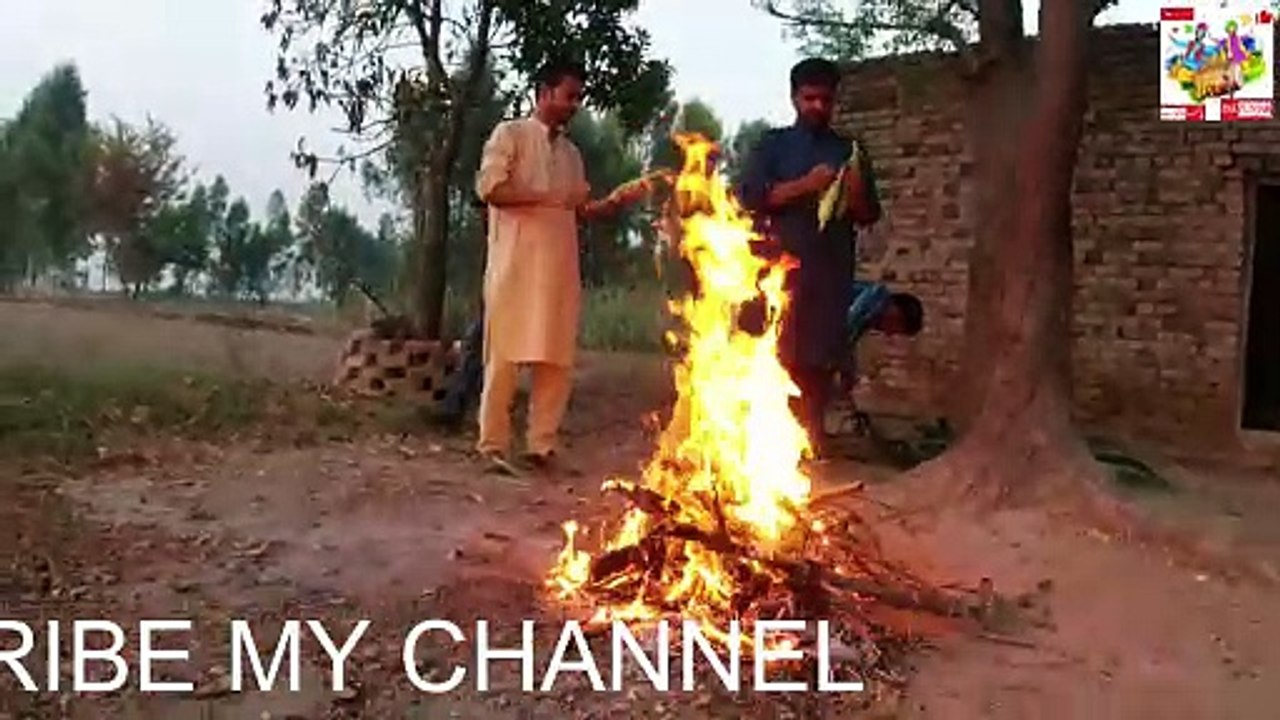 One day in my Village with Friends and Cousins | Corn