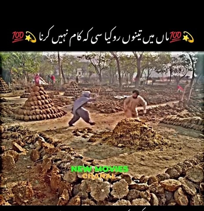 punjabi clip