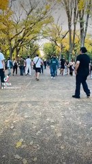 Here’s my latest video