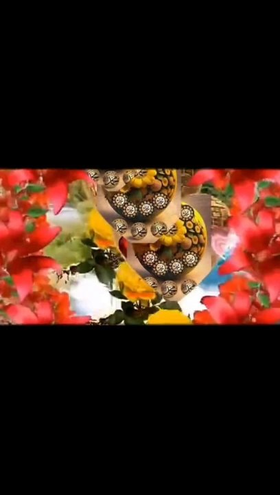 شان رب نے حضور دی ودائی ھوئی ھے