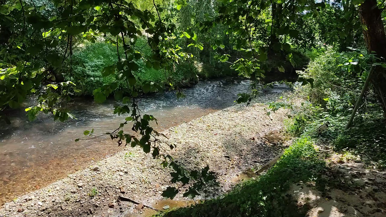Aus den hl. Essener Kommunionen, Friede mit dem Körper