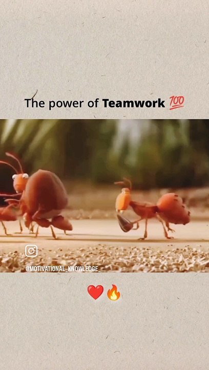 Key of success trying  trying again #!#& 