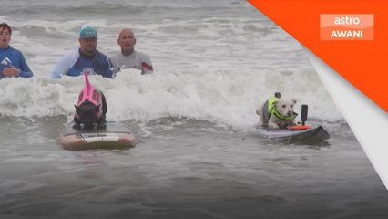 Kejohanan luncur dunia di California bagi tingkat kesedaran