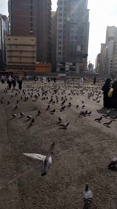 Umrah 2024