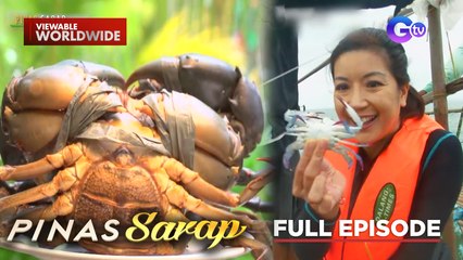 Iba’t ibang klase ng alimasag, ating titikman! (Full Episode) | Pinas Sarap