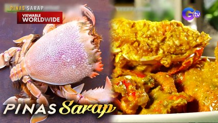 Curacha with special coconut milk sauce, tikman! | Pinas Sarap