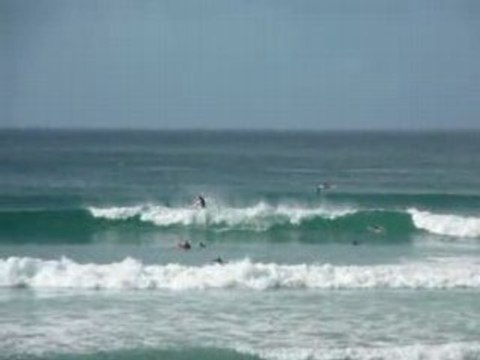 Snappers to kirra