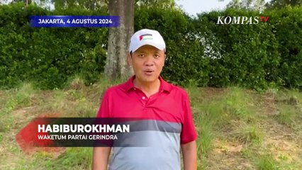 Ahok Bilang Jusuf Hamka Batal di Pilkada Jakarta, Ini Respons Gerindra