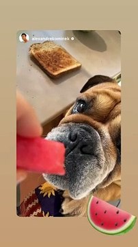 Florence Foresti, Instagram