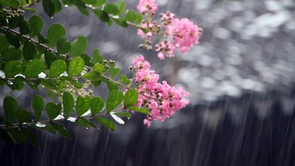 Bruit de pluie pour dormir