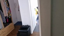 new video with sister recorded ! 20240804_120700