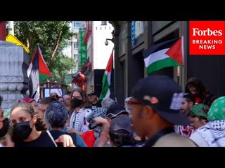 JUST IN: Pro-Palestine Protestors Gather In Downtown Washington, DC
