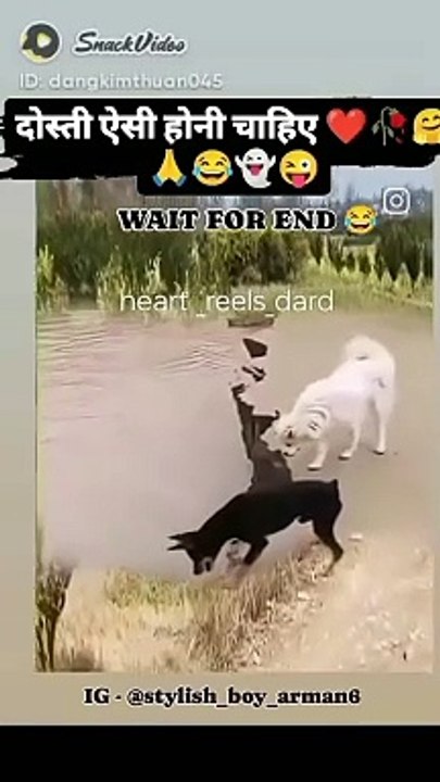 Funny video