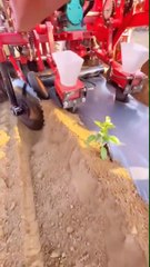 Most Funny Videos On Internet #funny #viral