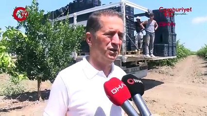 Adana’da limonun fiyatını düşürecek hasat başladı