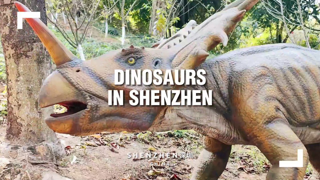 We Were SHOCKED To Find Dinosaurs in Shenzhen!