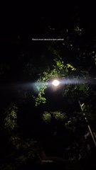 90s Love Song with Irresistible Vibes 🎶