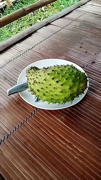 Do you like it