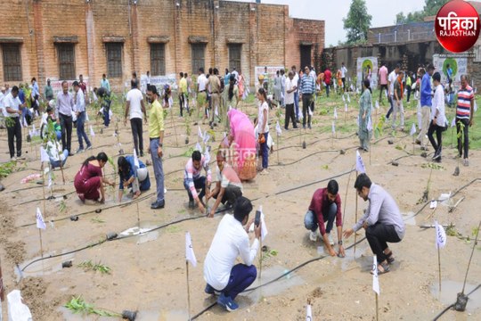 Hariyali Amavasya : शहर को हरा-भरा बनाने की पहल, 5 हजार पौधे लगाए
