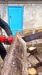 Life Entertainment Fun