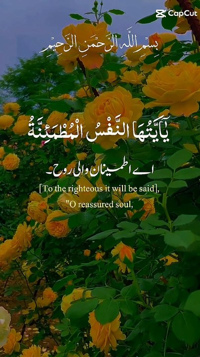 القرآن ترجمہ