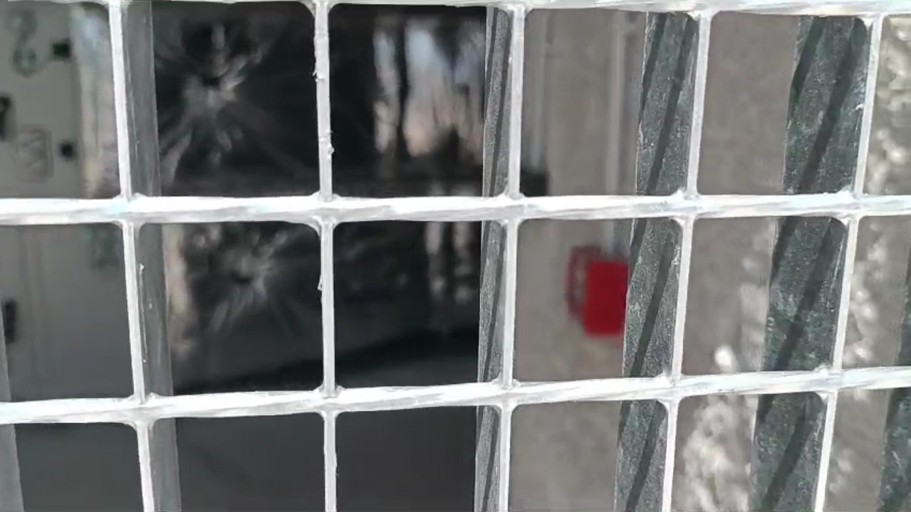 Sonido alarma barrio Parquesol