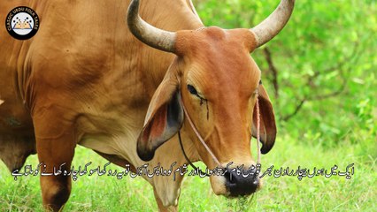 jis ka kaam ussi ko sajy |جس کا کا م اس کو ساجے| MORAL STORY| INTERESTING STORY