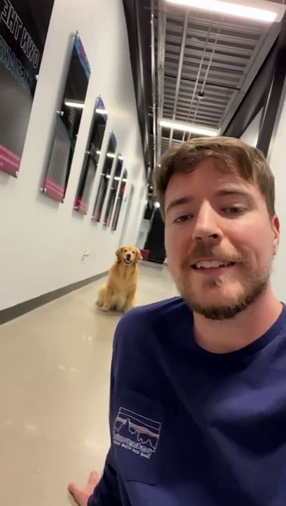 Me_and_@Golden_Retriever_Life_hanging_out