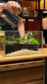 How to Make 3 feet Aquarium at Home - How to make fish tank at home
