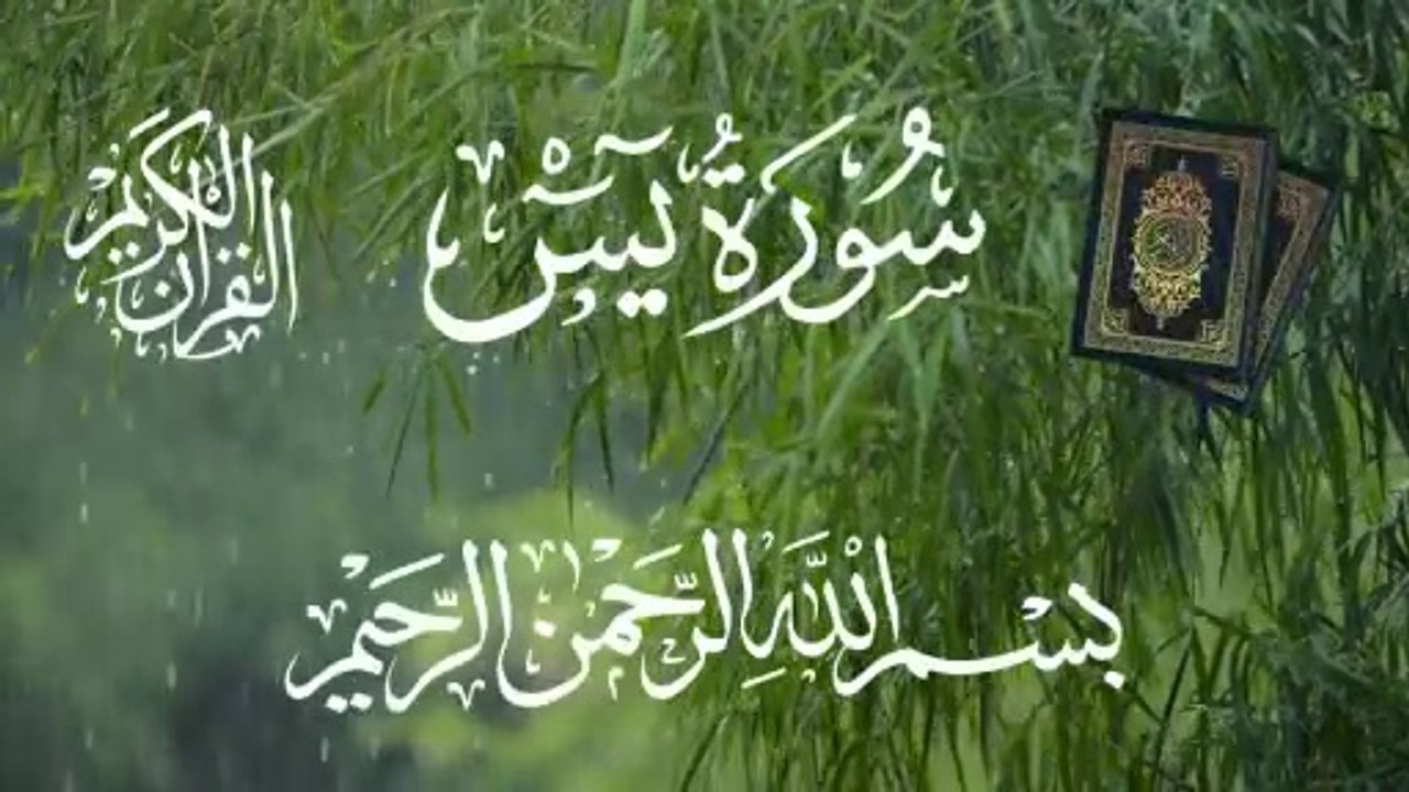 Surah Yaseen Tilawat (Surah 36) | Quran Recitation | Relaxing & Spiritual Recitation | سورة يسين