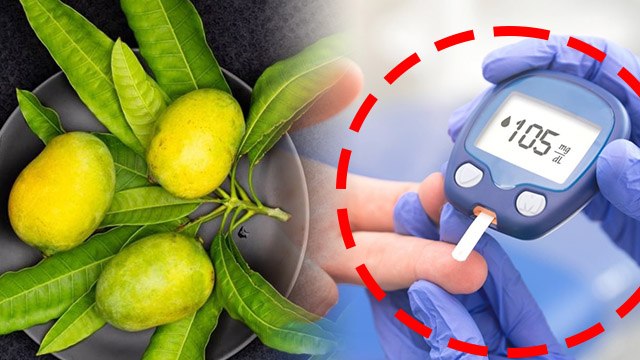 How To Control Diabetes With Mango Leaves | डायबिटीज में आम के पत्तों के फायदे | Boldsky