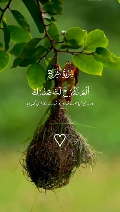 Most Beautiful And Peacefull Heart Touching Quran