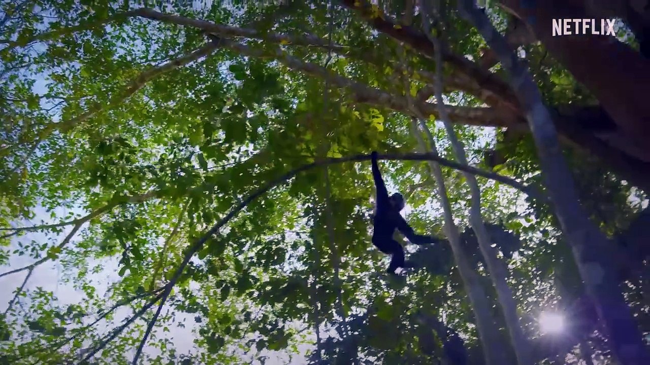 Secret World of Sound with David Attenborough _ Official Trailer _ Netflix