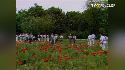 Grupul „Hora” din Gaesti, Dambovita - Sus pe dealul inverzit (Tezaur folcloric - arhiva TVR)