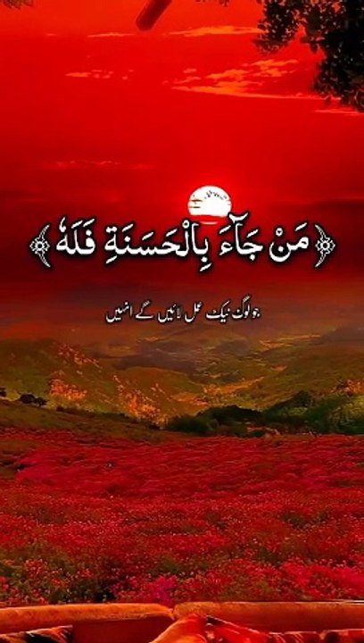 ❣️_تلاوت قرآن مجید_❣️_•┈••✦Al Quran✦•┈•_ 23 _alquran _translation  _trending _trendingshorts(720P_HD)