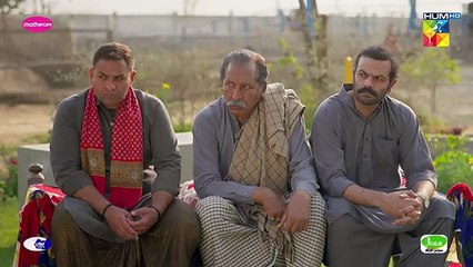 Zard Patton Ka Bunn - Episode 13 [CC] - 4th Aug 24 - Mothercare, Master Paints & Jhalak Beauty Creamdrama