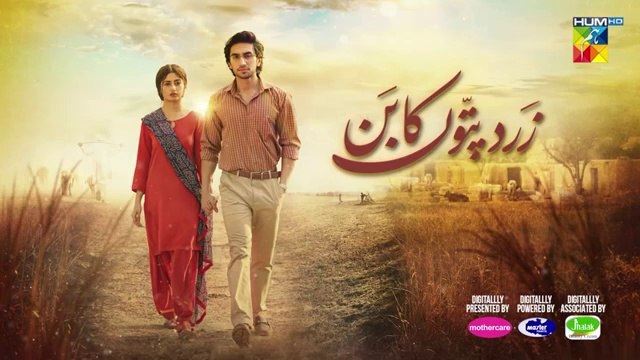 مسلسل باكستاني Zard Patton Ka Bunn الحلقة 13 مترجم للعربي | مسلسل باكستاني زرد باتون كا بون الحلقة 13 مترجم للعربي Ary Arabia مسلسلات باكستانية