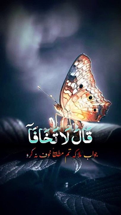 اسلامی واقعات #islamistics #youtubeshorts #quotes #religioustext  #viralshorts