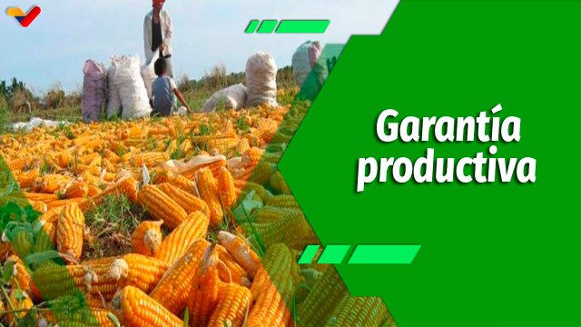 Cultivando Patria | Unidad de Producción AGA Agrícola a la vanguardia de la producción nacional