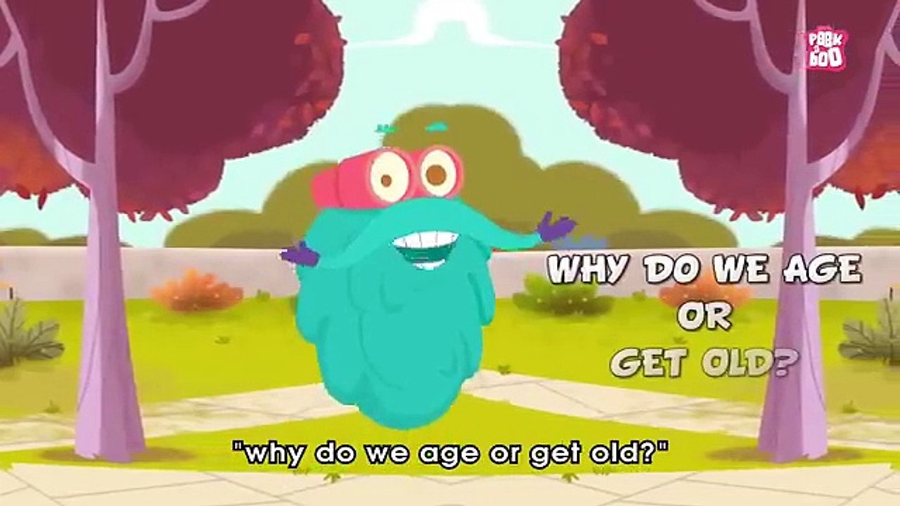 Why Do We Get Old