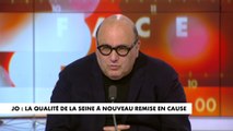 Julien Dray : «Rendre la Seine baignable est une affaire technocratique qui dure depuis des années et des années»