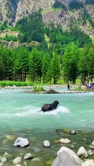 07e59ad7d527a682dff4d6171ec41f64