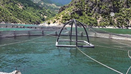 Tekneye yüzerek çıktı! Yaramaz ayının balık avı kamerada