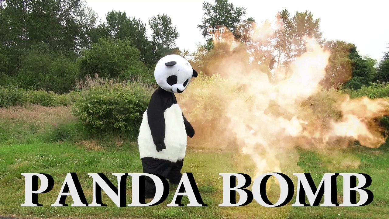 Panda Cosplay In Public (Onision)